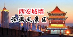 用鸡插入美女小骚逼网站中国陕西-西安城墙旅游风景区